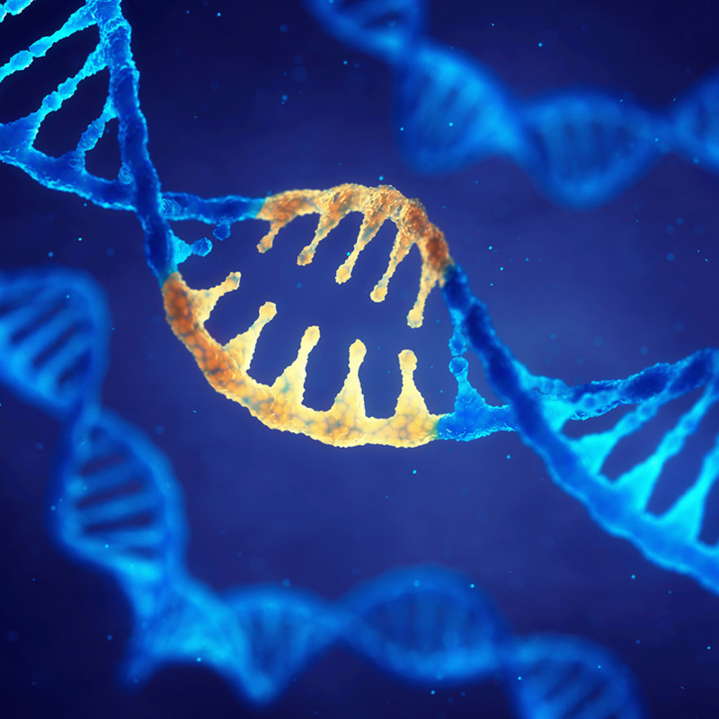 GENETIC DISEASES