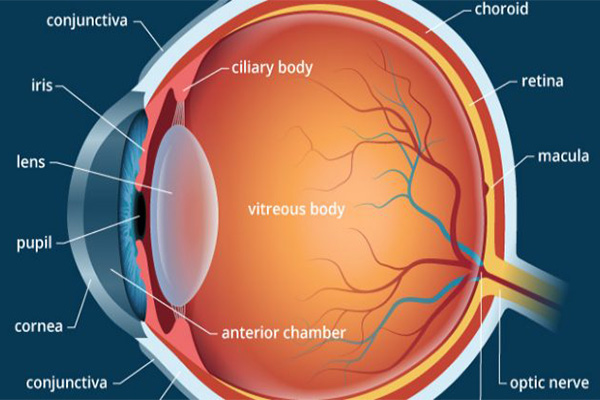 Eye Trouble
