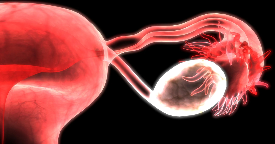 PRIMARY OVARIAN INSUFFICIENCY TREATMENT