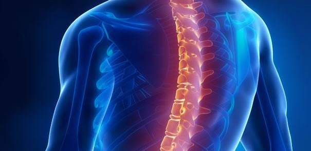 SPINAL DISORDERS AND THEIR HOMOEOPATHIC MANAGEMENT