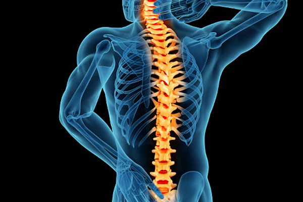 Spine Diseases