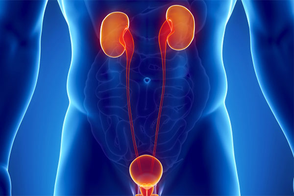 Urinary Trouble