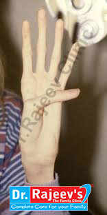 Uploaded Image