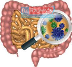 Uploaded Image